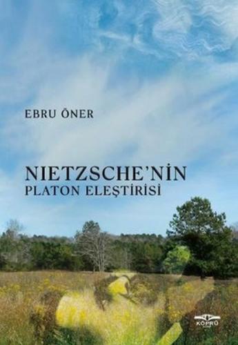 Nietzsche'nin Platon Eleştirisi