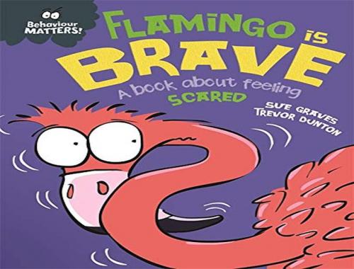 Behaviour Matters: Flamingo İs Brave