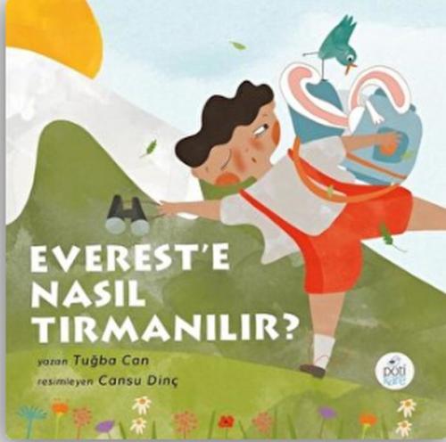 Everest'e Nasıl Tırmanılır?