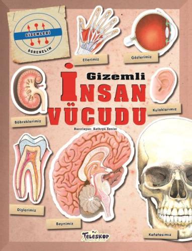 Gizemleri Öğrenelim - Gizemli İnsan Vücudu