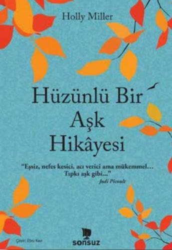 Hüzünlü Bir Aşk Hikâyesi