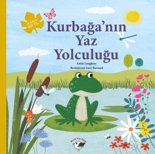 Kurbağa'nın Yaz Yolculuğu – Doğada Bir Yıl