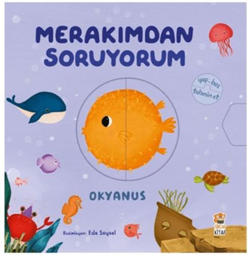 Merakımdan Soruyorum- Okyanus