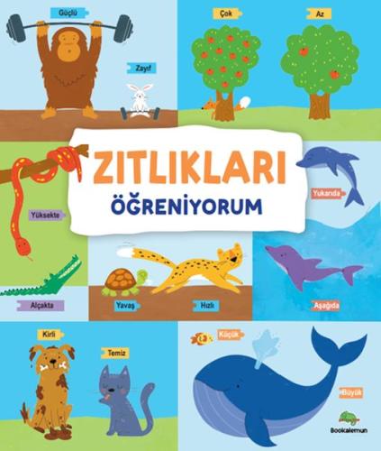 Zıtlıkları Öğreniyorum – Ciltli